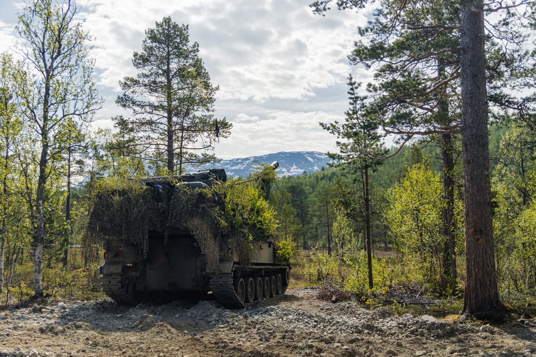 Beltekjøretøy i skogsterreng med fjell i bakgrunnen.